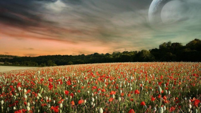 为什么果粉对苹果非常地宽容？